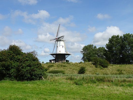 De Koe