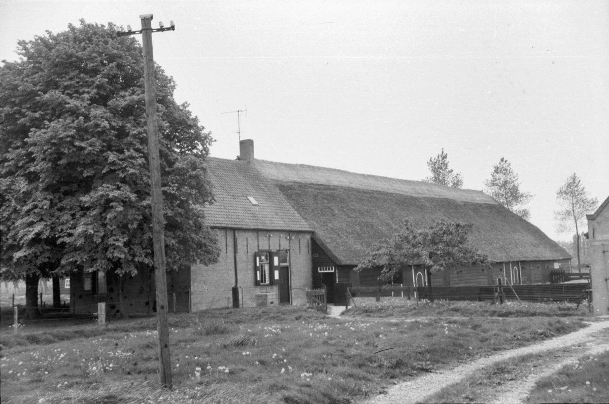 Torenzicht