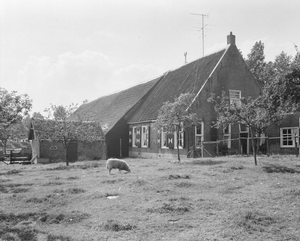 Grote Muiterij