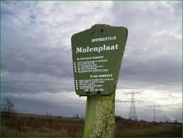 Molenplaat